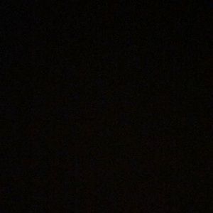 Meet your Posher, Jodie